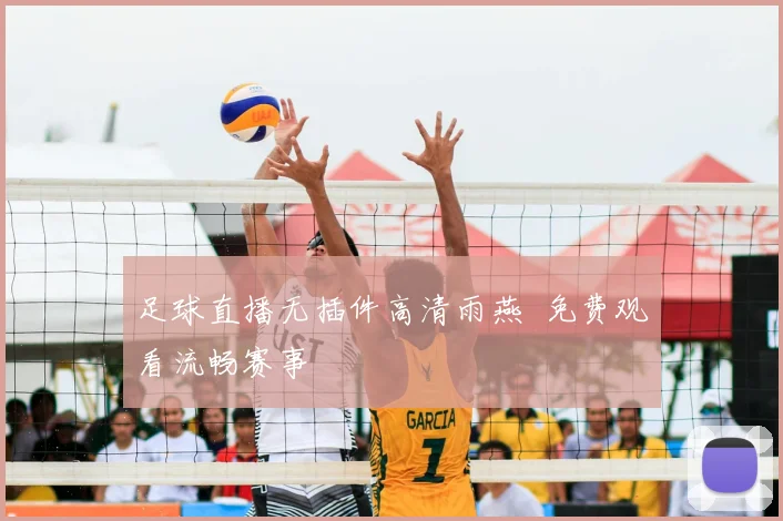 足球直播无插件高清雨燕 免费观看流畅赛事