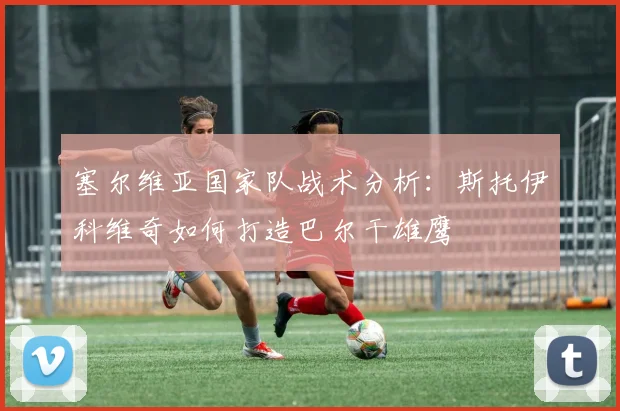 塞尔维亚国家队战术分析：斯托伊科维奇如何打造巴尔干雄鹰