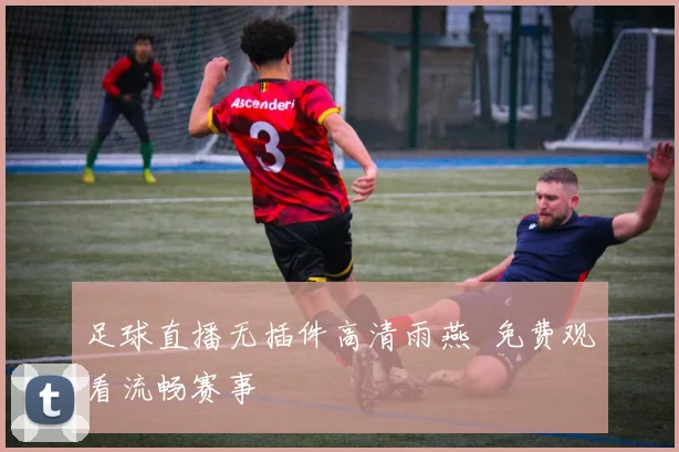 足球直播无插件高清雨燕 免费观看流畅赛事