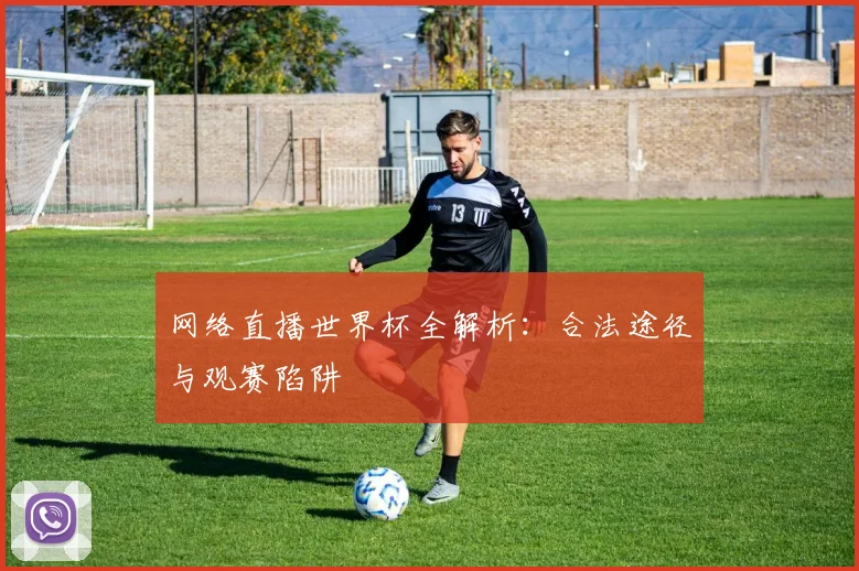 网络直播世界杯全解析：合法途径与观赛陷阱