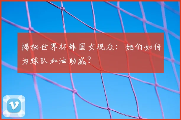 揭秘世界杯韩国女观众：她们如何为球队加油助威？