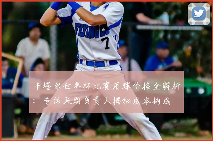 卡塔尔世界杯比赛用球价格全解析：专访采购负责人揭秘成本构成