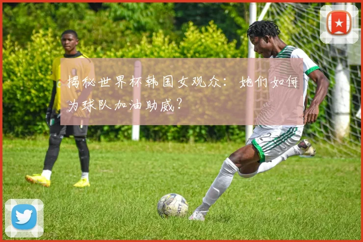 揭秘世界杯韩国女观众：她们如何为球队加油助威？
