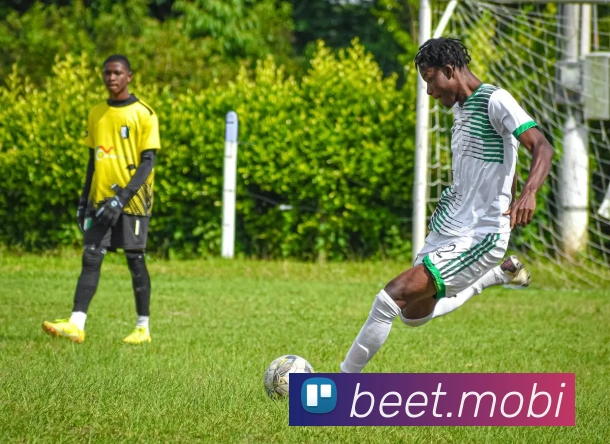 开云手机入口登录官网平台生态图