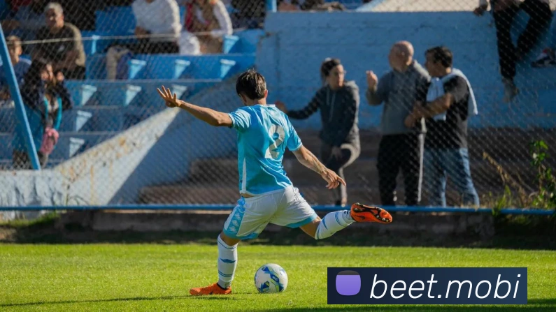 开云手机入口登录官网APP 封面图